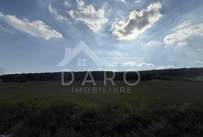 Teren intravilan budiu mic 9700 m2, perfect pentru complex reziden?ial - 2