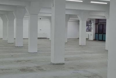Spațiu comercial, de 600 mp, în Bascov - 5