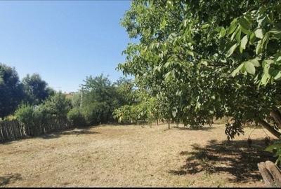 Casă cu 4 camere cu Teren 7000 Mp în Verbița - 4