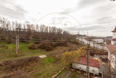 Apartament cu 2 camere decomandat, mobilat în Mioveni - 11