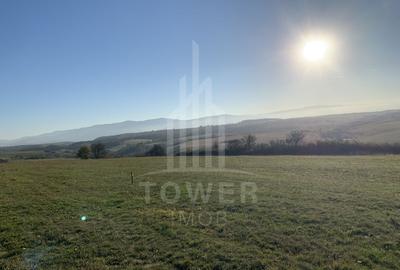 Teren pentru constructie cabana in Dealul Daii-parcele de 650 mp - 3