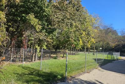 Teren în Ferdinand - 5