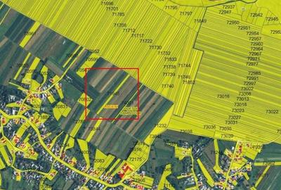 Teren Arabil in Lucieni, Dambovi?a Teren Arabil in Lucieni, Dambovi?a - 2