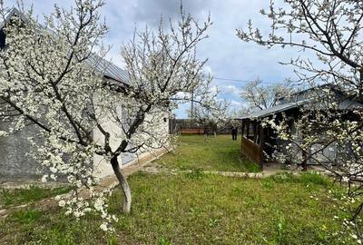 Casă cu 2 camere în Cojești - 1