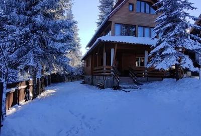 Cabana de vanzare , 320 mp utili, zona Belis - 1