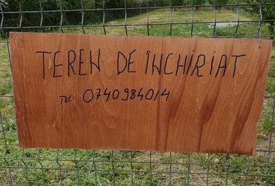 Teren de 1000 mp, în Viișoara - 5