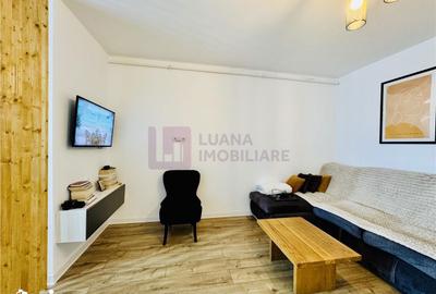 Apartament cu 2 camere, mobilat în Turnișor - 4