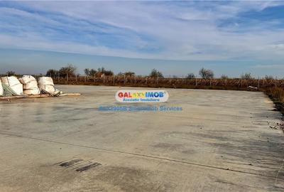 Siloz cu 3000tone capacitate(+3000t pista) | 2ha teren - 16