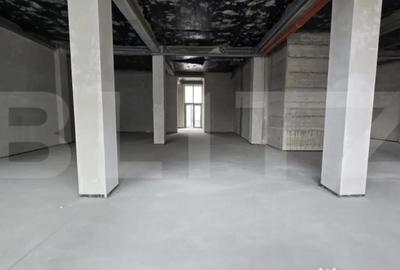 Spațiu comercial, de 250 mp, în Semicentral - 10