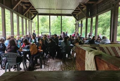 Vand afacere Cabana ANNASTASIA Vadu Crisului - 7