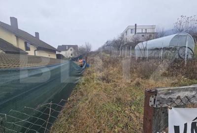 Teren de 1600 mp, în Viișoara - 1