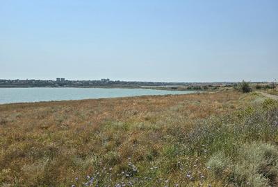 Anunturi vanzari terenuri in Tuzla - 1