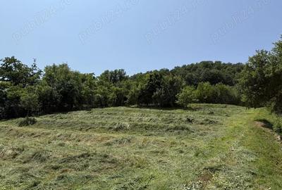 Teren de 2294 mp, în Joia Mare - 2