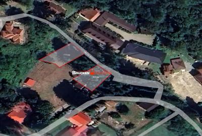 Teren în Pădurea Neagră