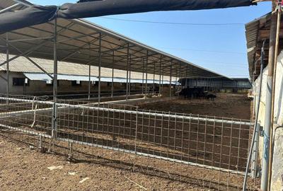 Teren de 3000 mp, în Exterior Vest - 2