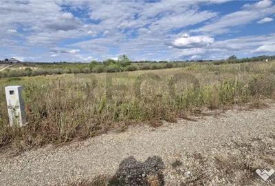 Teren de 599 mp, în Săldăbagiu de Munte - 7