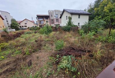 B-ul Nicolae Grigorescu, chiar la pasajul peste Spaliul Unirii, B-ul Nicolae Grigorescu, chiar la pasajul peste Spaliul Unirii, - 8