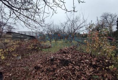 Fara comision! Casa 2 camere 70 mp, teren 770 mp, front 12 ml, Dambul Rotund - 6