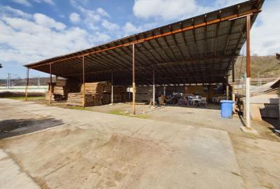 Fabrica prelucrare lemn de vanzare – Lipova, Arad - 11