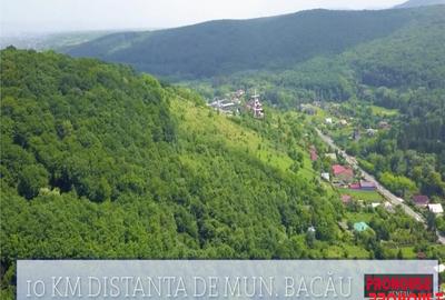 Teren de 10000 mp, în Central - 5