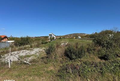 Spațiu comercial, în Betfia - 6