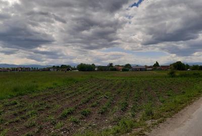 Teren intravilan 5000 mp construibi rezidential Lunca Calnicului - 1