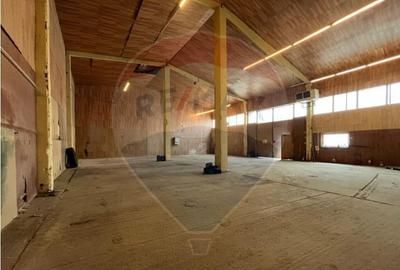 Hala industriala de inchiriat-Sibiu - 3