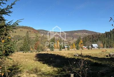 Teren de 500 mp, în Galbena - 3