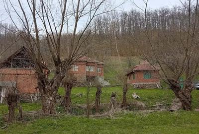 Casă cu 4 camere în Poieni (Densuș) - 13