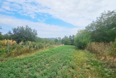 Teren intravilan, cu priveliște spre pădure – Vălenii de Munte - 16