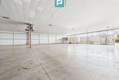 Spațiu depozitare 1,400 mp de închiriat în Ghiroda - 4