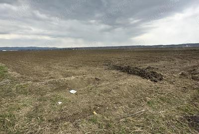 Teren de 24100 mp, în Adânca - 2