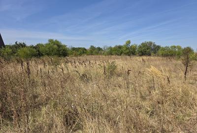 Comuna Branesti, Sat Vadul Anei pe strada Closca, 1650 mp Comuna Branesti, Sat Vadul Anei pe strada Closca, 1650 mp - 5
