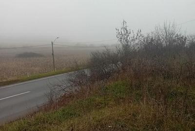 Teren de 1000 mp, în Schitu Duca - 2