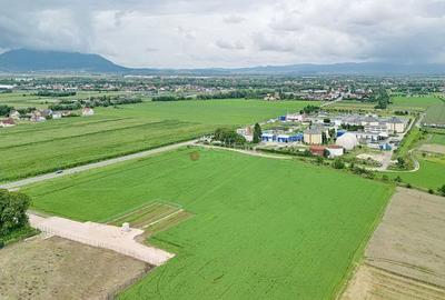 Teren Industrial - 18