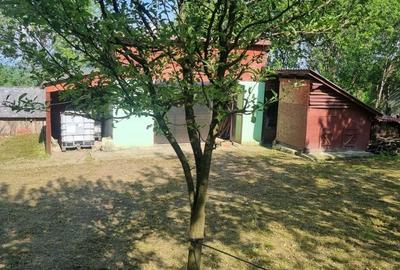 Casă cu 2 camere în Jichișu de Sus - 1