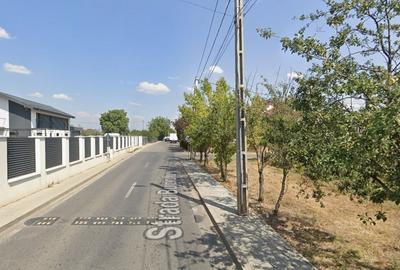 Teren Construcții intravilan de 2500 mp, în Dragomirești-Deal - 2