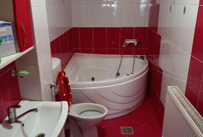 Casă cu 4 camere cu Teren 5400 Mp în Luduș - 8