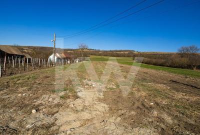 Teren Construcții intravilan de 1152 mp, în Ruși - 1