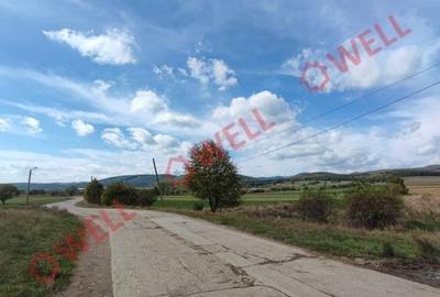 De vânzare teren extravilan în Arcuș spre Valea Crișului! - 9