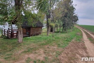 Teren de 27500 mp, în Belciugatele - 8