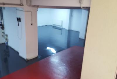 Dorobanti-cladire birouri - 6