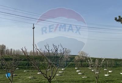 Casă individuală cu 4 camere în Nord - 13