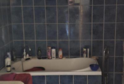 Casă cu 2 camere în Parcul Carol - 2