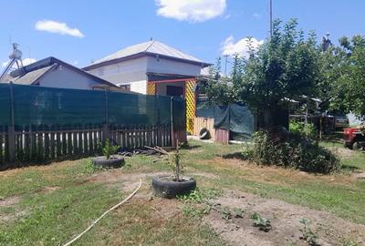 Casă individuală cu 2 camere cu Teren 1100 Mp în Beiu - 10