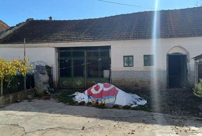 Vand casa in Baie?ti sau schimb cu apartament in Deva - 2