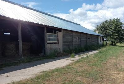 Teren în Central - 5