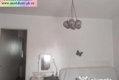Apartament 2 camere de vanzare : 9 Mai-(Domnisori),centrala termica - 3