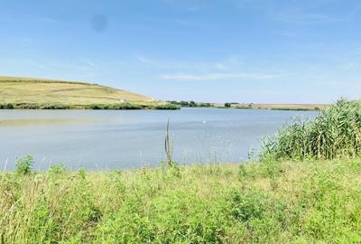 Proprietar - SUPER OFERTA - Teren intravilan  Peris - 7.043 mp - doar 4 euro/mp - 2