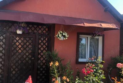 Casă cu Teren 2750 Mp în Vulpeni - 10